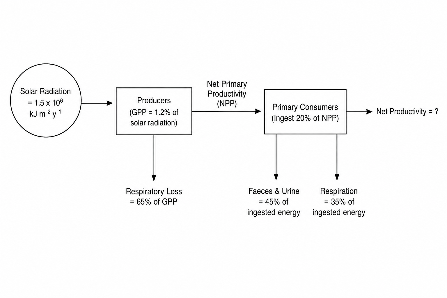 Energy Flow Diagram
