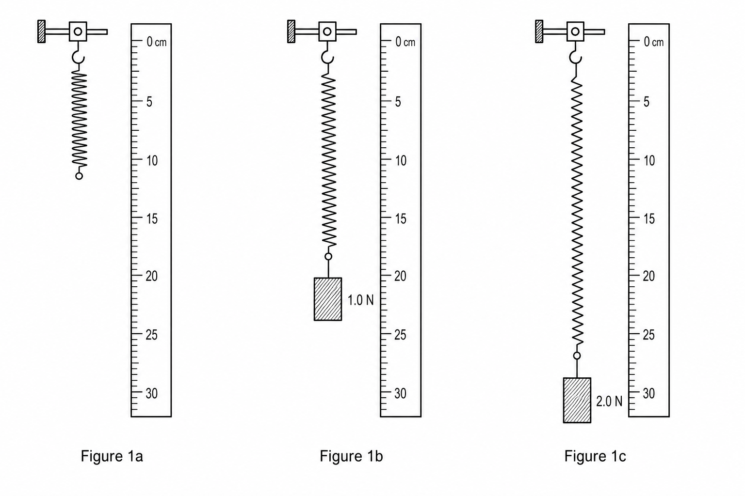 Figure 1a: Unstretched hanging spring next to a vertical ruler. The top of the spring is fixed at the clamp (0 cm mark). The bottom of the spring aligns with the 15 cm mark on the ruler.