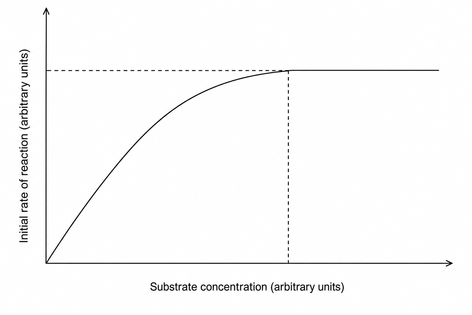 Graph showing the initial rate of an enzyme-catalysed reaction on the y-axis plotted against the substrate concentration on the x-axis. The curve starts at the origin (0,0), rises steeply, and then curves to become horizontal at its maximum rate. A horizontal dashed line projects from the y-axis to this plateau, indicating the maximum rate. A vertical dashed line drops down from the point where the plateau begins to the x-axis.