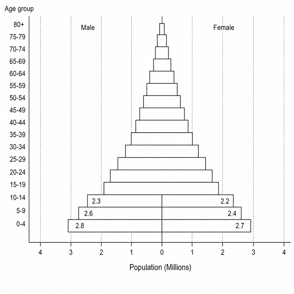 Figure 1: Population pyramid for Malawi.