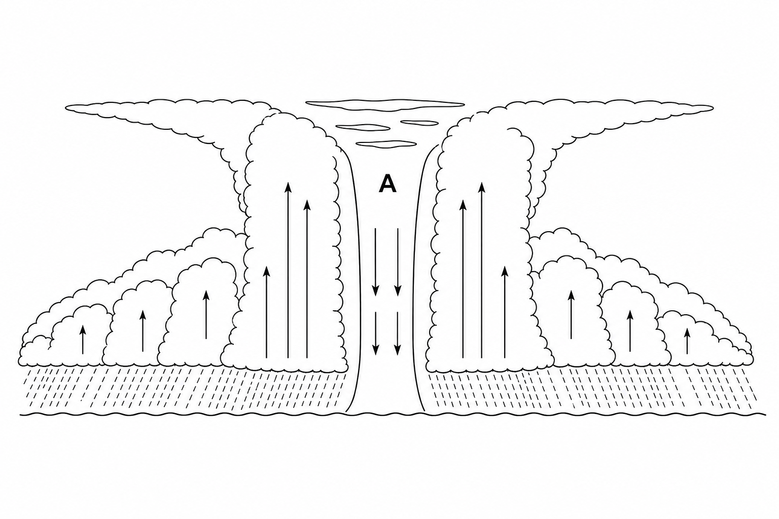Cross-section of a tropical cyclone