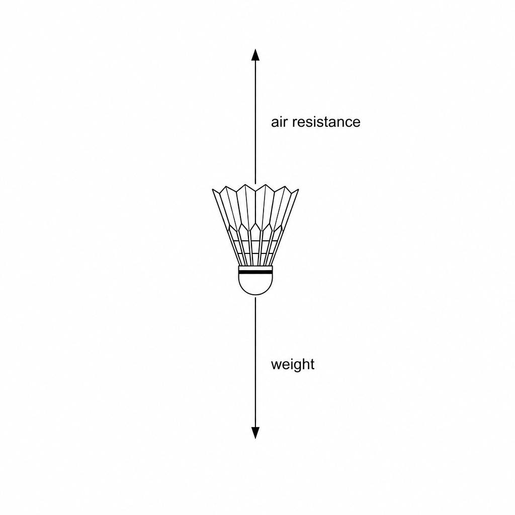 A badminton shuttlecock falling downwards. It has a vertical arrow pointing downwards labeled 'weight' and an equal-length vertical arrow pointing upwards labeled 'air resistance'.