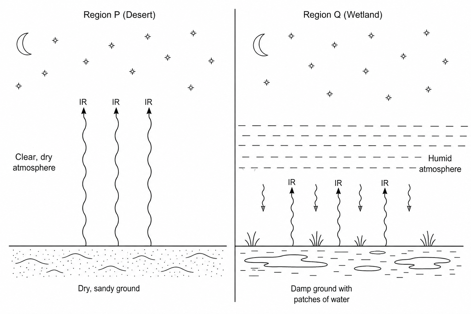 Comparison of nighttime cooling in Region P (desert) and Region Q (wetland)