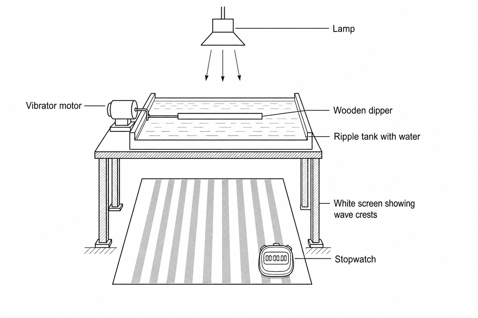 A diagram showing a shallow ripple tank containing water, with an electric vibrator motor connected to a straight wooden dipper. A lamp is positioned directly above the tank, casting a pattern of bright and dark wave crests onto a white viewing sheet on the floor below. A digital stopwatch is shown next to the screen.