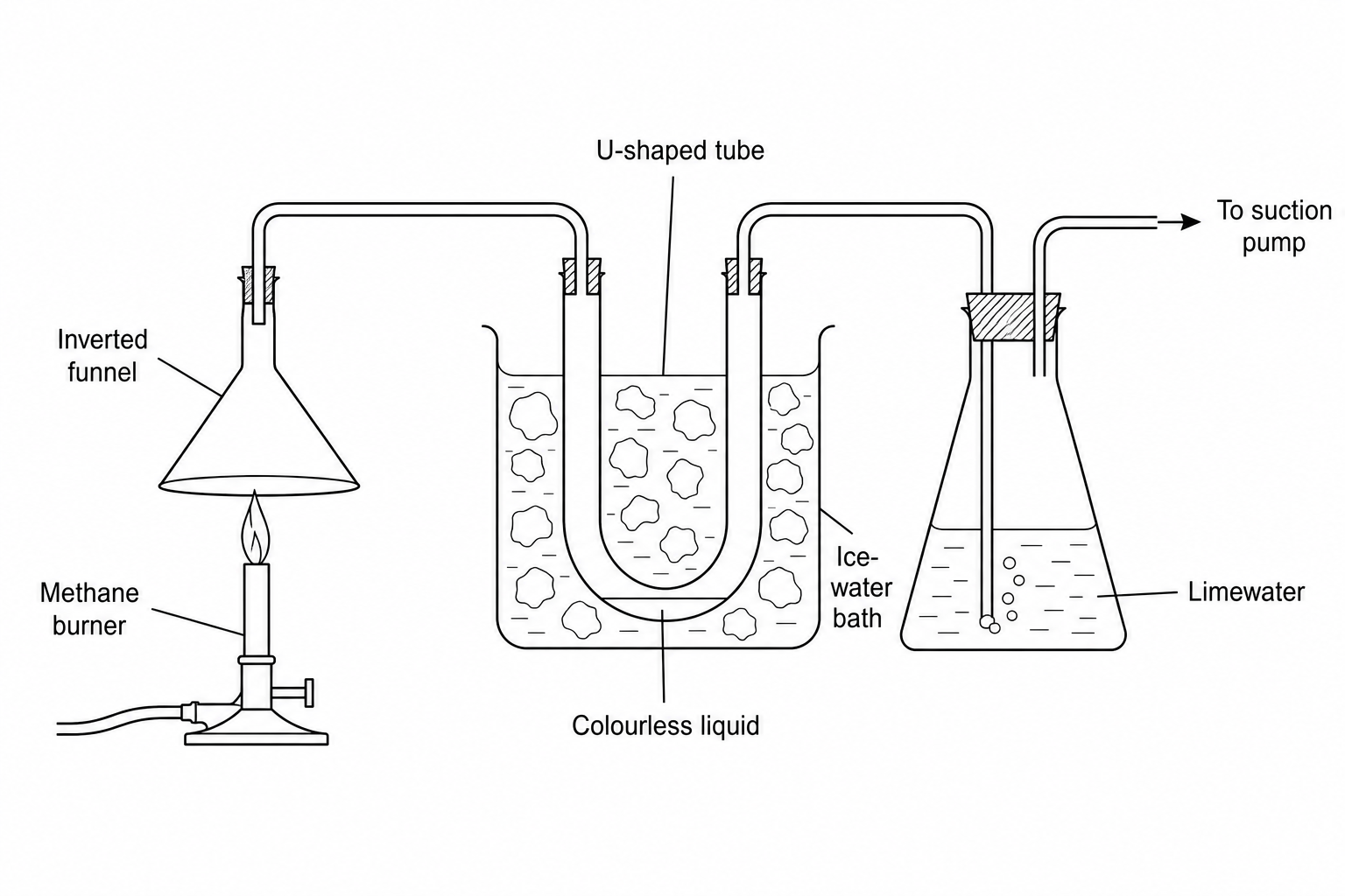 A burner with burning methane gas. Above the flame, a funnel collects the rising combustion gases into an inverted delivery tube. The tube leads into a U-shaped tube cooled in an ice-water bath, where a colourless liquid collects. The delivery tube then leaves the U-shaped tube and bubbles through a conical flask containing limewater, before connecting to a suction pump. The limewater in the conical flask turns cloudy rapidly.