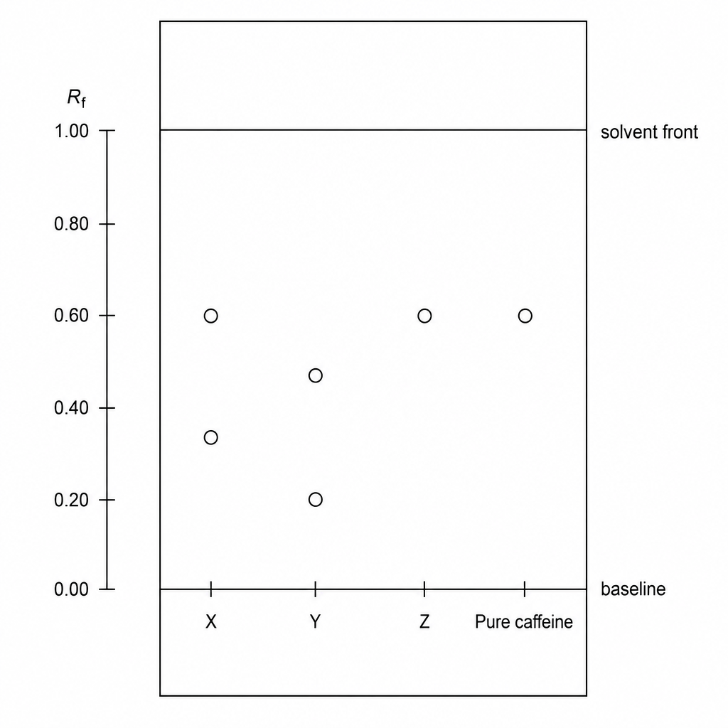 A chromatogram profile of four lanes: X, Y, Z, and Pure caffeine. The pencil baseline is at the bottom, and the solvent front is at the top. Lane 'Pure caffeine' contains a single spot at Rf = 0.60. Lane Z contains a single spot at Rf = 0.60. Lane X contains two spots: one at Rf = 0.60 and one at Rf = 0.35. Lane Y contains two spots: one at Rf = 0.20 and one at Rf = 0.45. Only lanes X, Z, and Pure caffeine have a spot at Rf = 0.60.