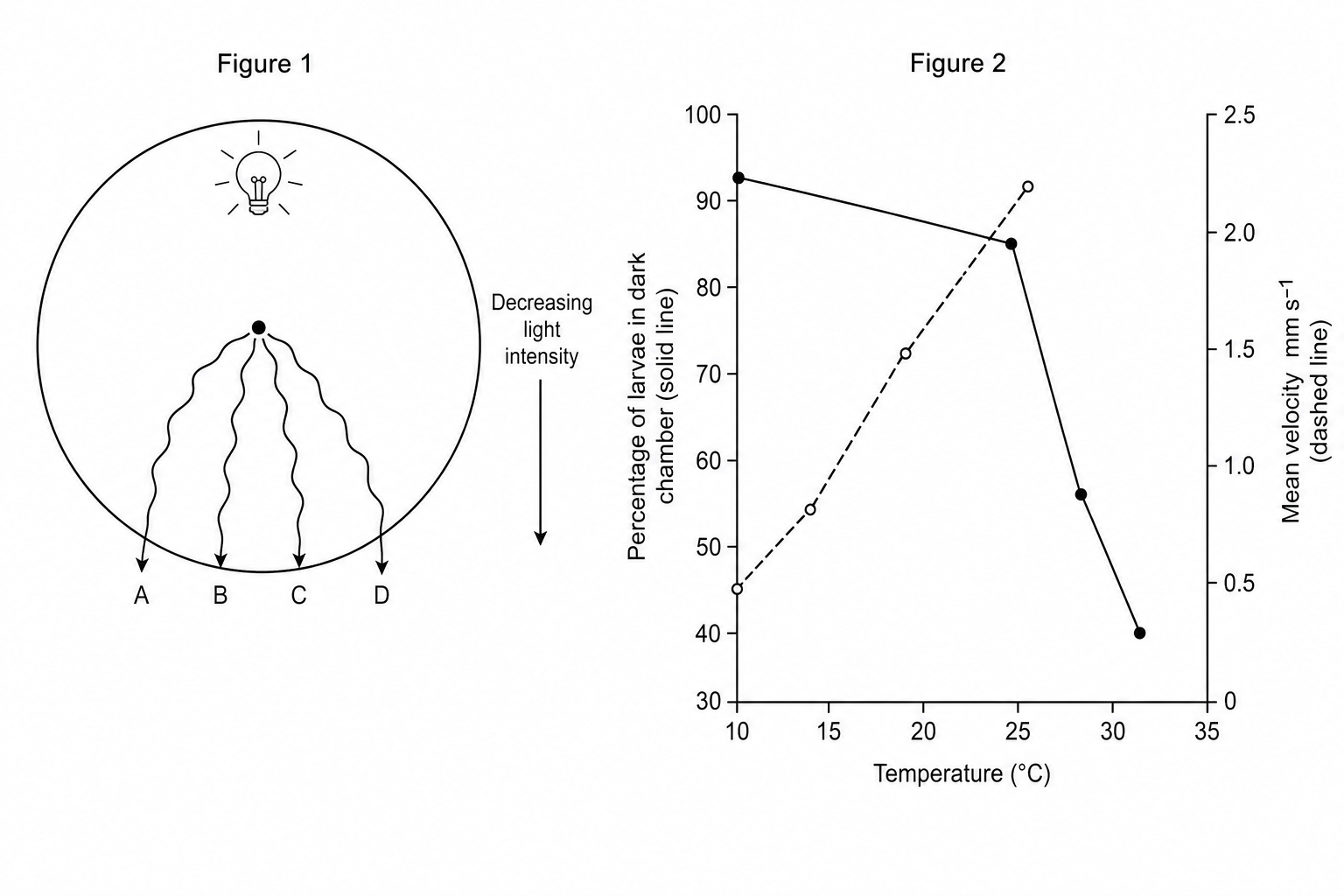 Experimental setup and results showing paths of blowfly larvae in a circular arena (Figure 1), alongside a dual-axis graph of larval chamber preferences and velocity across different temperatures (Figure 2).