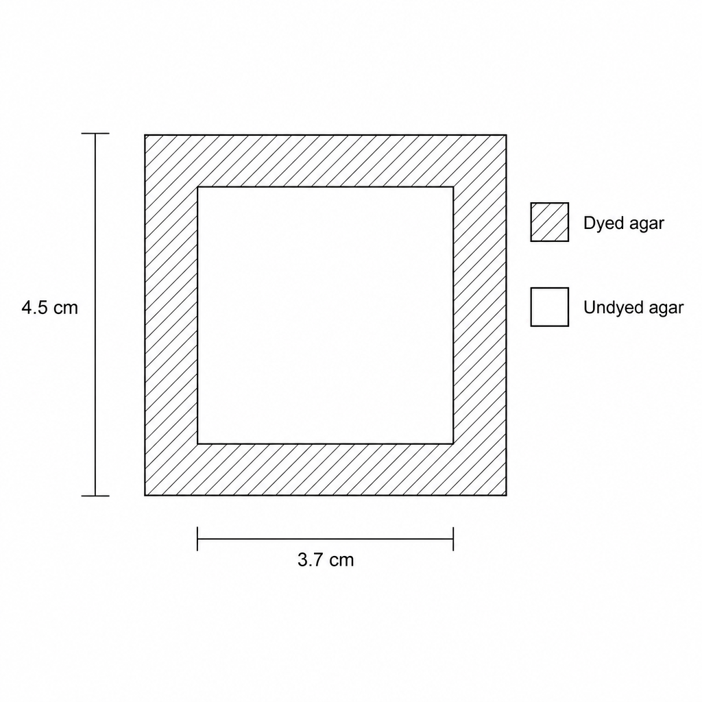 Cross-section of the largest agar cube after 5 minutes, showing an outer dyed border and an inner undyed square. The outer side length is labeled as 4.5 cm, and the side length of the inner undyed square is labeled as 3.7 cm.
