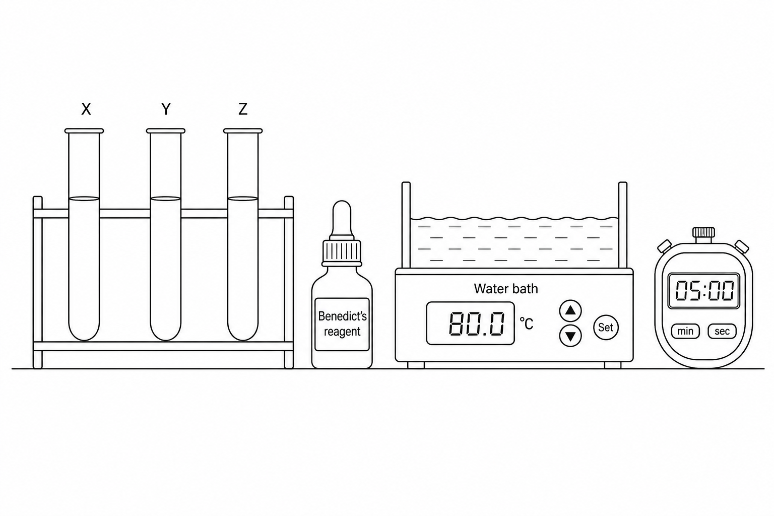 Figure 1: Laboratory apparatus for biochemical testing. It includes three test tubes containing fluid samples, a bottle of Benedict's solution with a dropper pipette, a thermostatically controlled water bath, and a stopwatch.