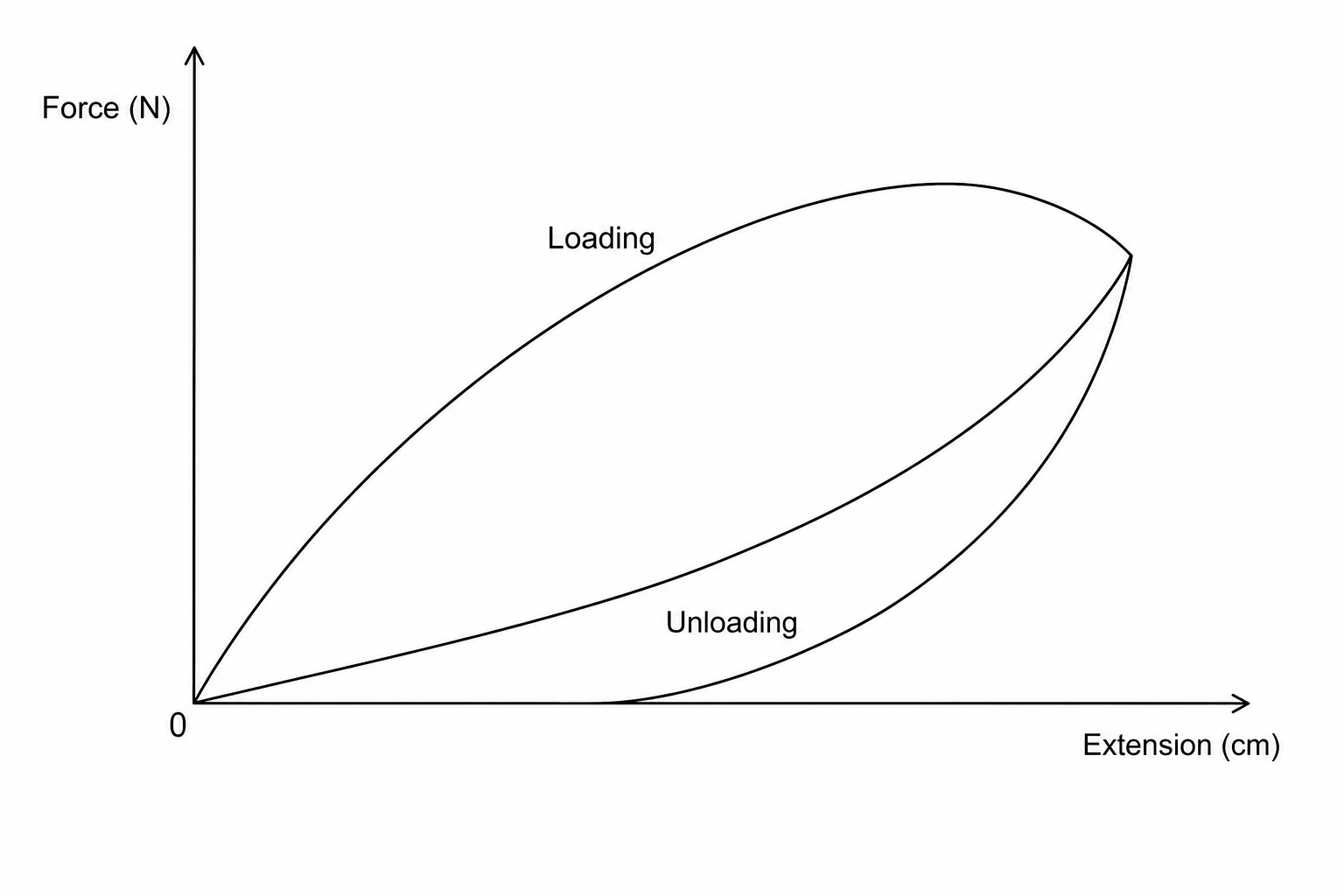 A graph of Force on the y-axis against Extension on the x-axis. There are two distinct curves forming a closed loop that starts and ends at the origin (0,0). The upper curve is labelled "Loading" and curves smoothly upwards. The lower curve is labelled "Unloading" and lies below the loading curve, forming a loop between them. Neither curve is a straight line. Labelled axes: Force (N) on the vertical axis, Extension (cm) on the horizontal axis. 