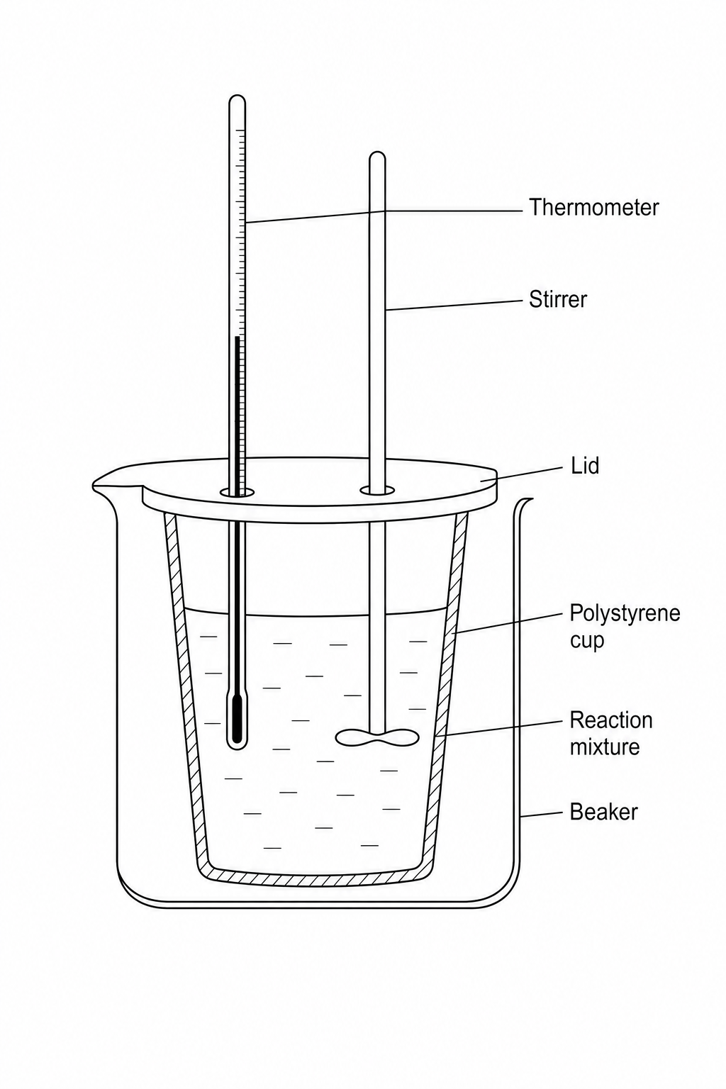 Polystyrene cup calorimetry setup