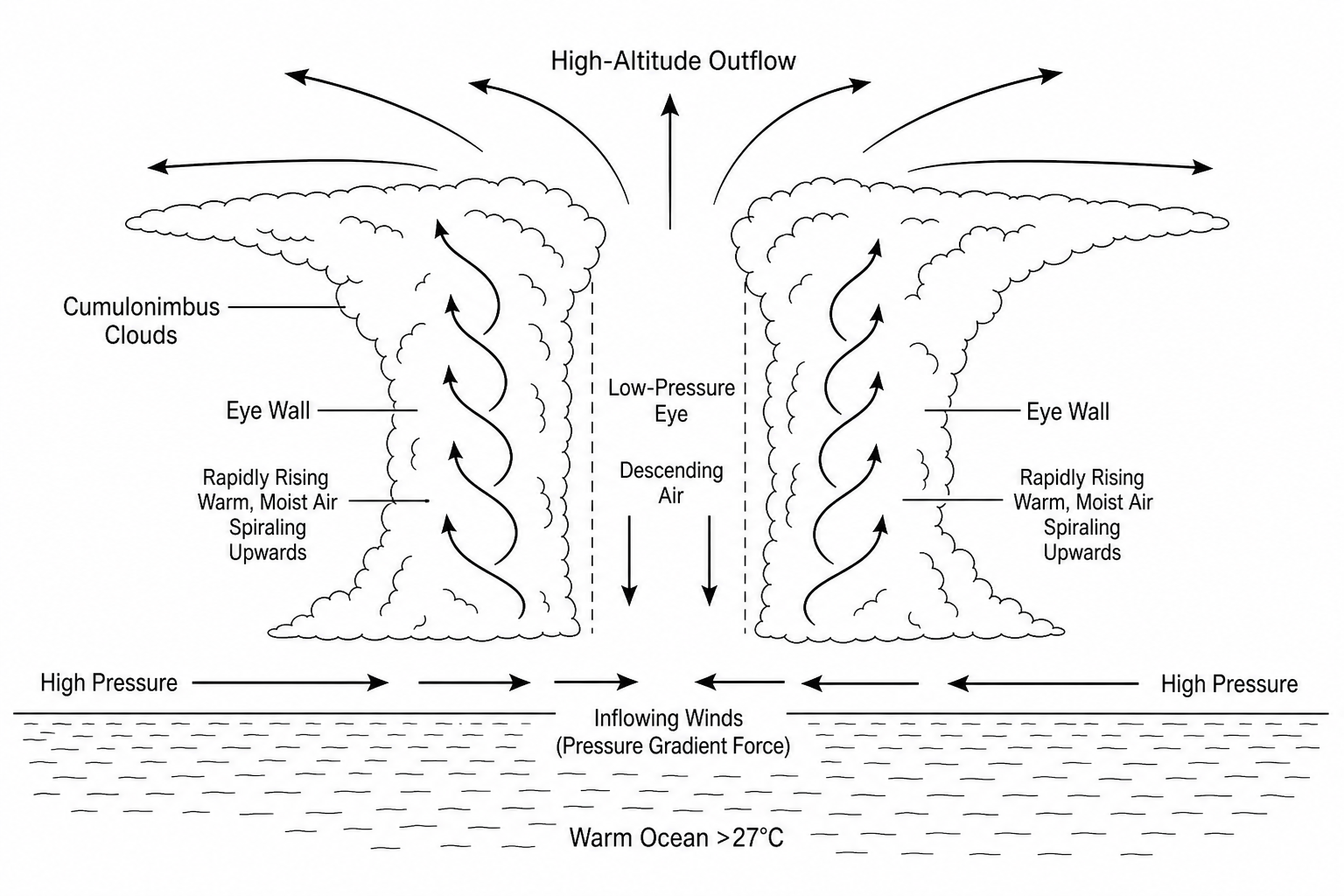 Cross-section of a tropical storm