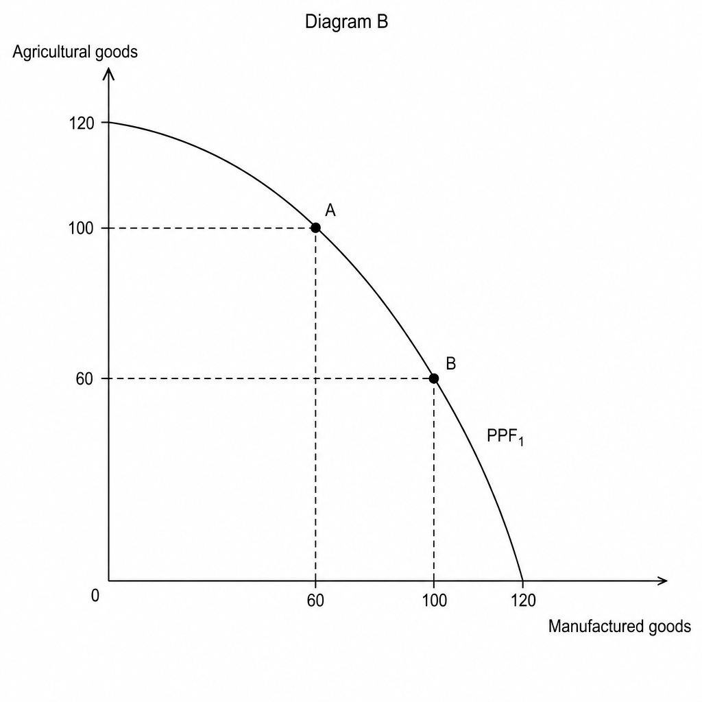 Diagram B