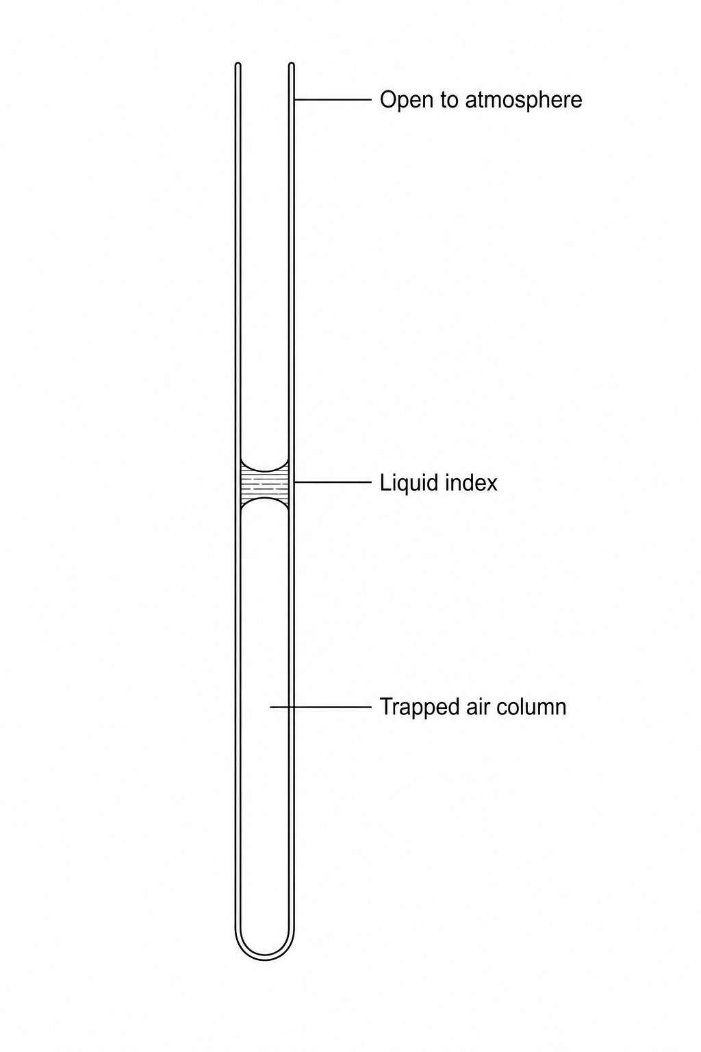 Charles's Law Capillary Tube Apparatus
