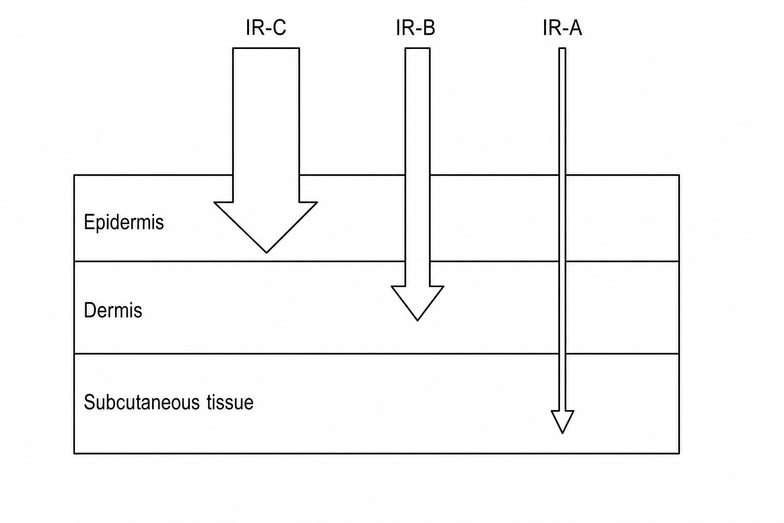 Diagram showing a cross-section of human skin with three layers from top to bottom: Epidermis, Dermis, and Subcutaneous tissue. Three arrows representing IR-C, IR-B, and IR-A enter from the top. The IR-C arrow is very thick and terminates entirely in the Epidermis. The IR-B arrow is medium-width, penetrates the Epidermis, and terminates in the Dermis. The IR-A arrow is thinner, penetrates through both the Epidermis and Dermis, and terminates in the deep Subcutaneous tissue. Arrow width represents the relative amount of radiation.