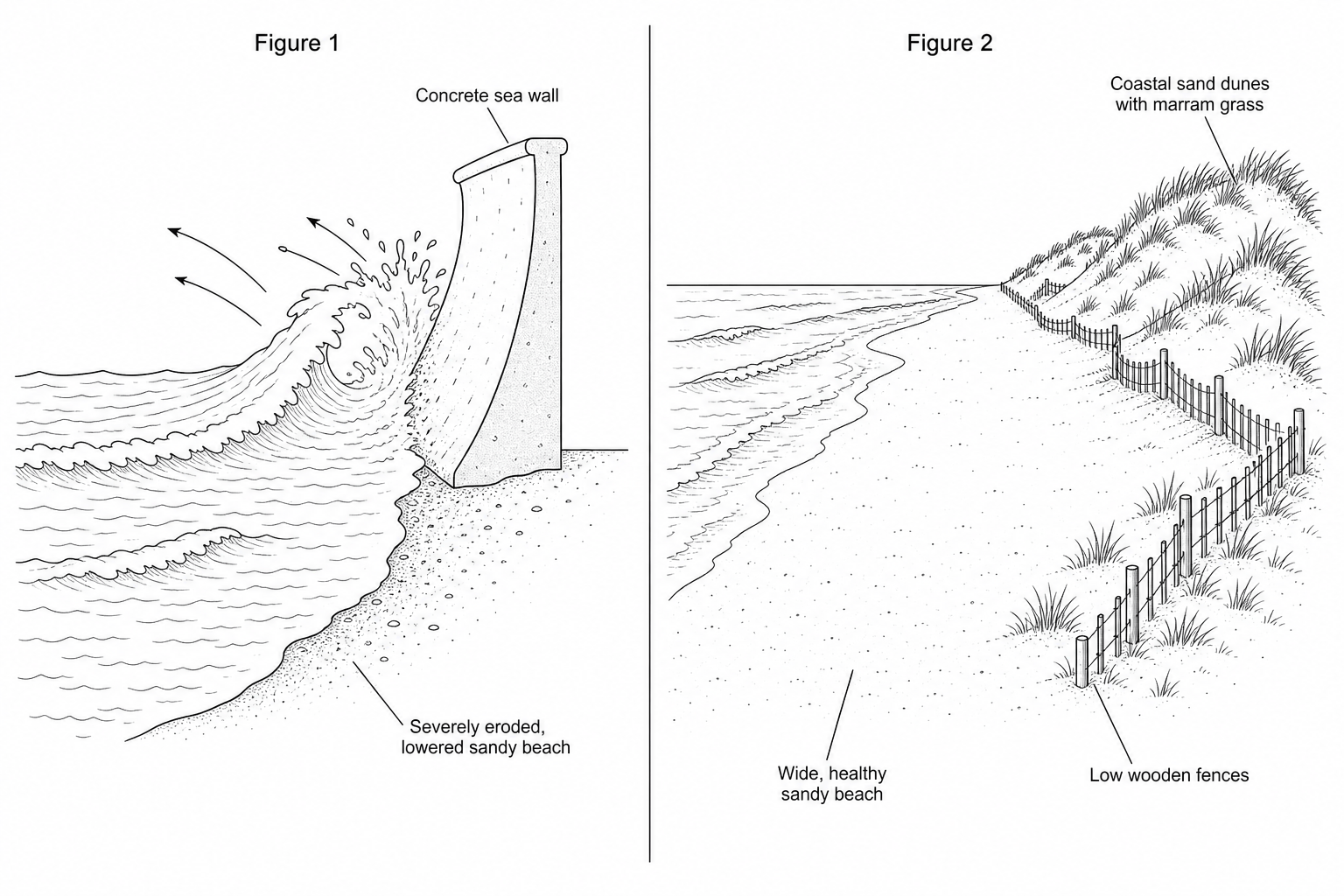 Figure 1 and Figure 2 representing hard and soft coastal engineering strategies