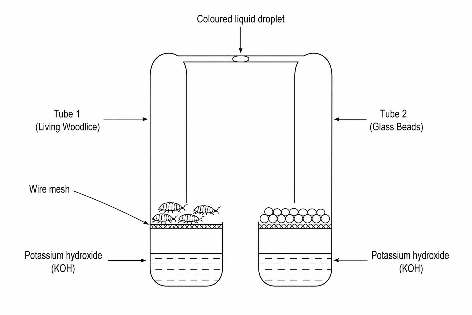 Respirometer diagram