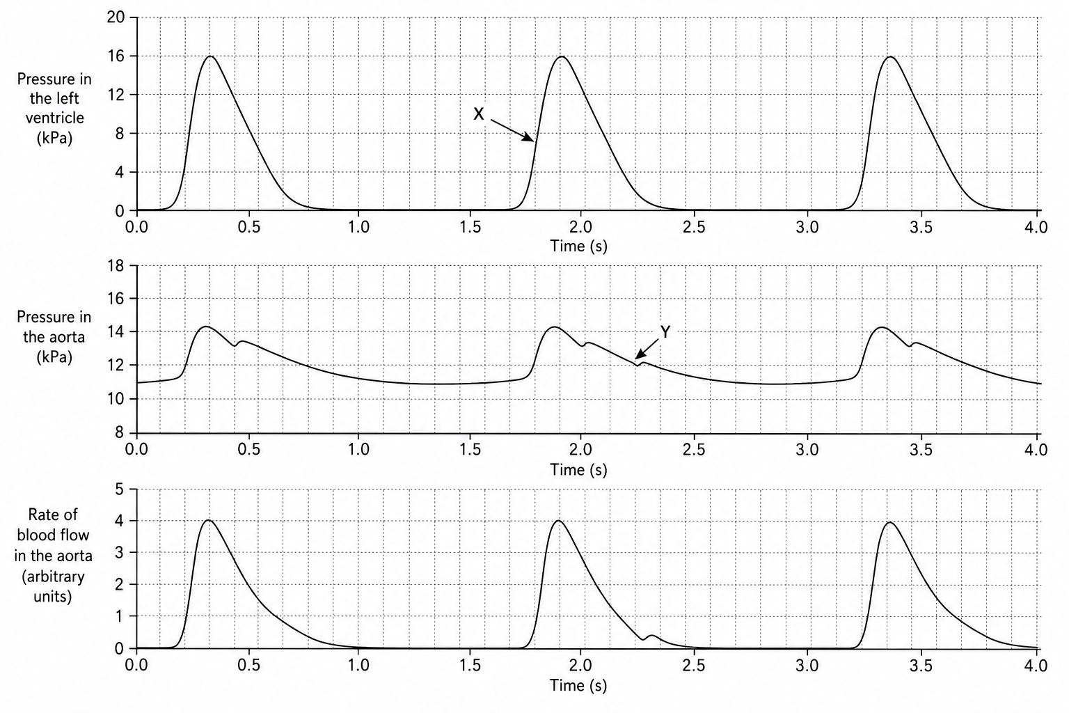 Cardiac cycle of a horse showing left ventricle pressure, aortic pressure, and aortic blood flow over 4.0 seconds.