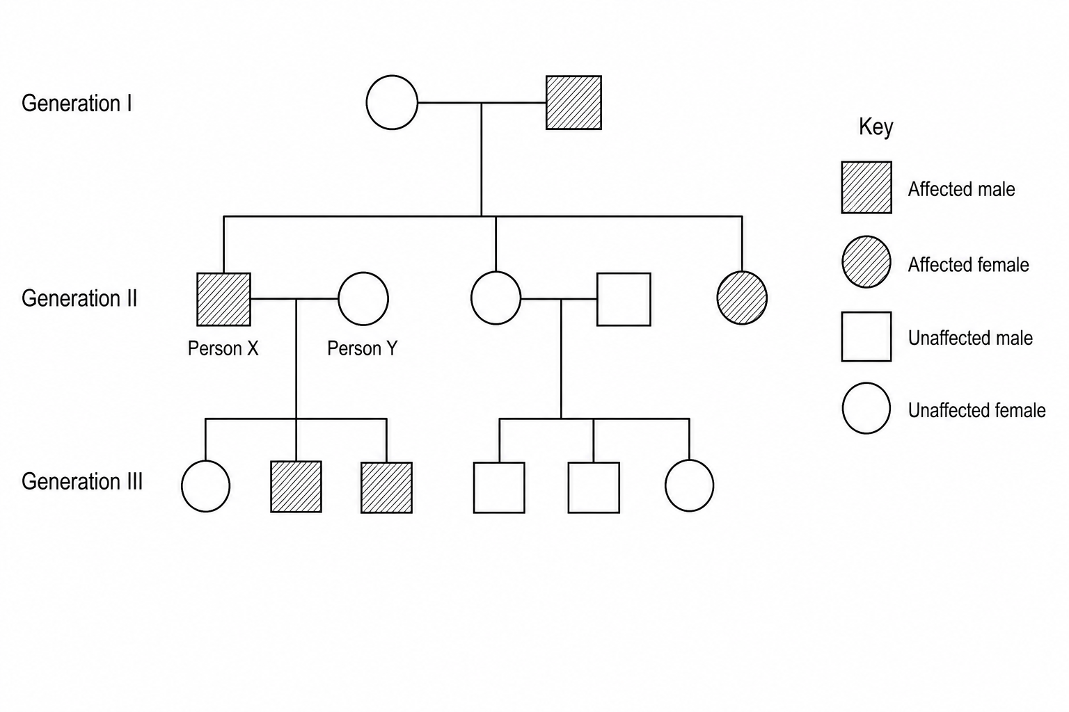 Pedigree diagram showing three generations of a family inheriting polydactyly.