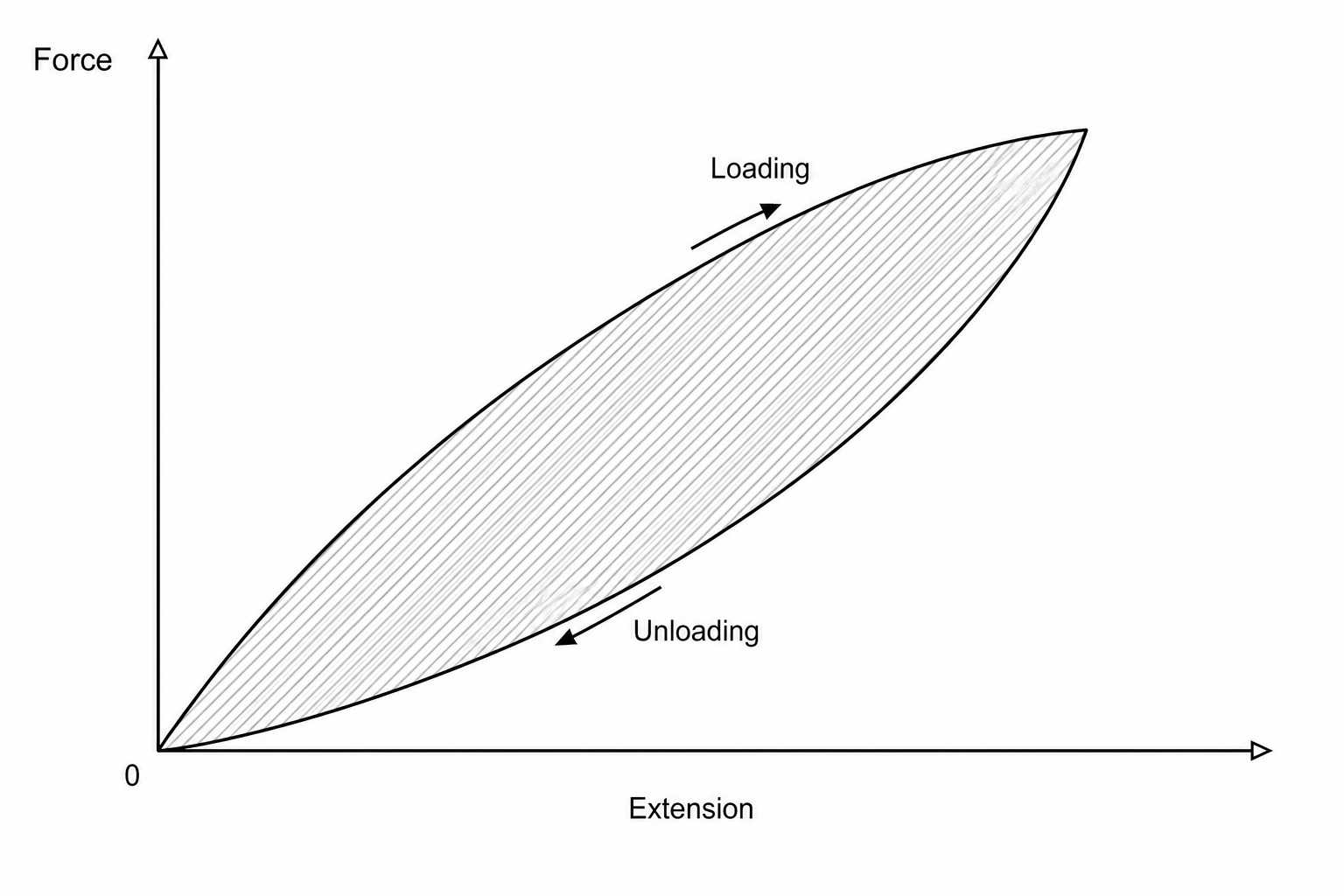 A force-extension graph for a latex band. The x-axis is labelled 'Extension' and the y-axis is labelled 'Force'. Two curves form a loop: the upper curve is labelled 'Loading' (as the force increases) and the lower curve is labelled 'Unloading' (as the force decreases). The region between the two curves is shaded gray.