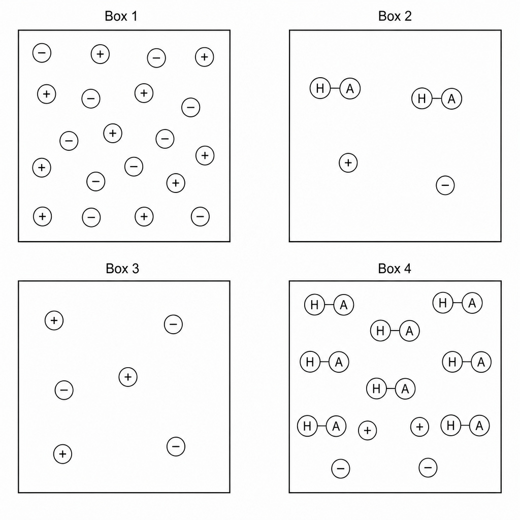 Particulate diagrams representing four solutions labeled Box 1, Box 2, Box 3, and Box 4