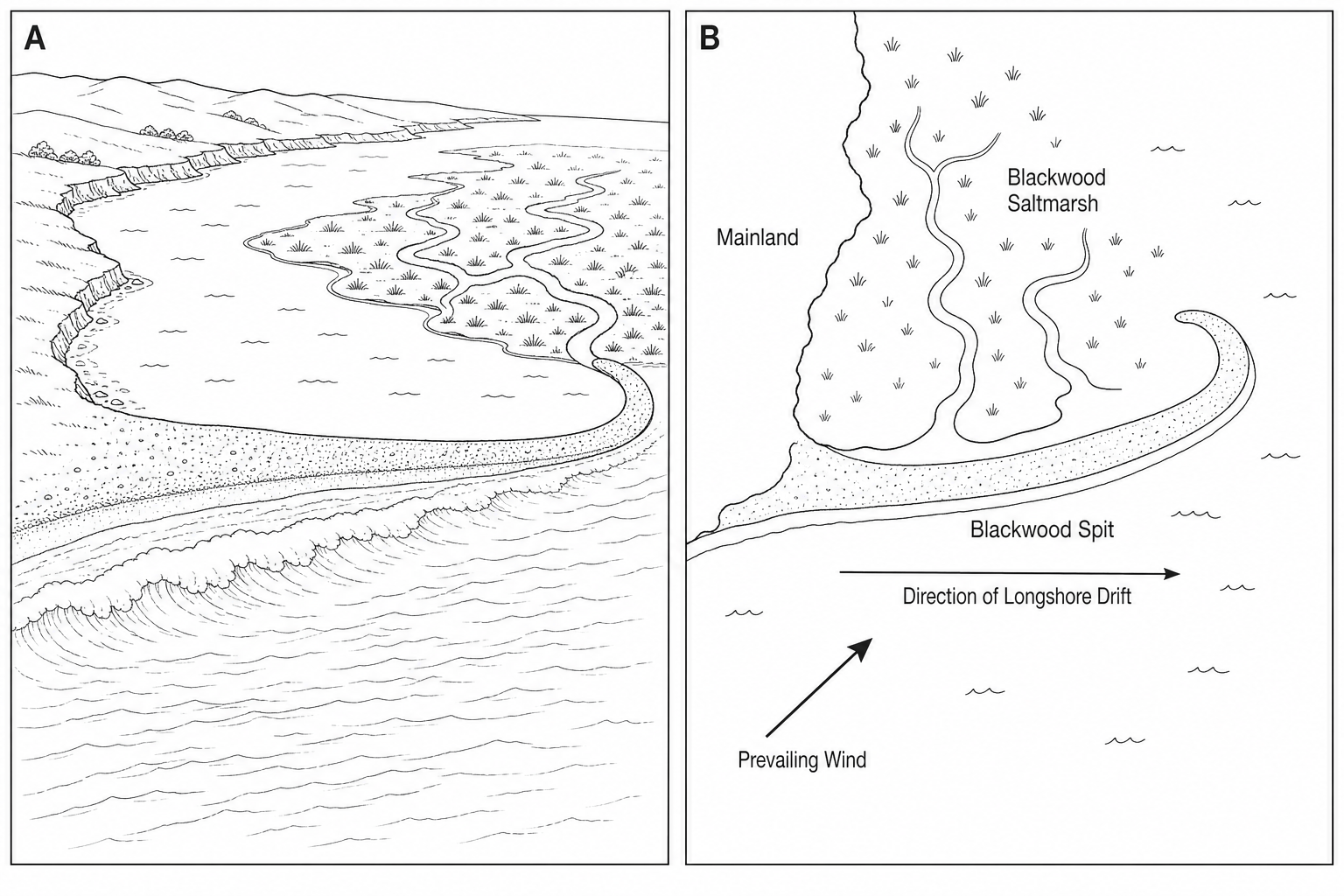 Figure 3: Coastal landforms at Blackwood