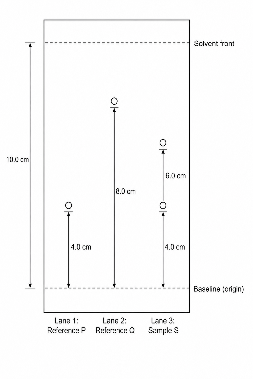 TLC Chromatogram