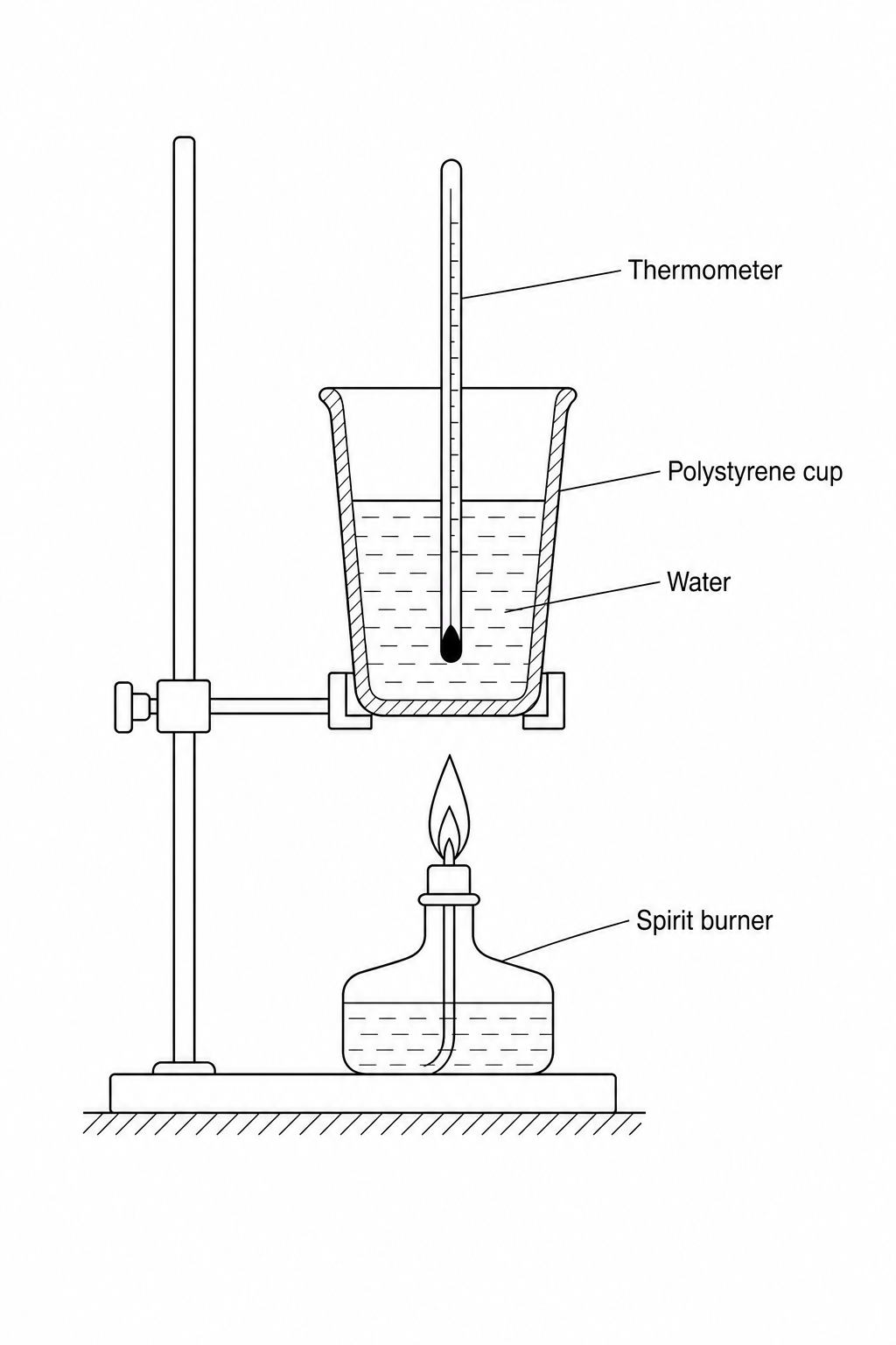 A diagram of an experimental setup to measure the energy released by burning a liquid fuel. It shows a spirit burner containing biofuel positioned directly beneath a polystyrene cup filled with water. The cup is held in place by a clamp attached to a boss and stand. A thermometer is placed inside the water.