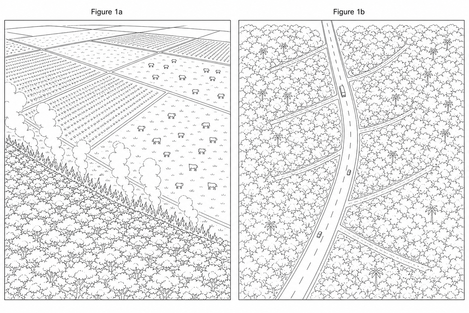Figure 1: Two types of human development in the tropical rainforest. Figure 1a shows large-scale cattle ranching and soy cultivation adjacent to the forest canopy with visible burning at the border. Figure 1b shows a major paved highway with secondary tracks branching into the forest in a fishbone pattern.