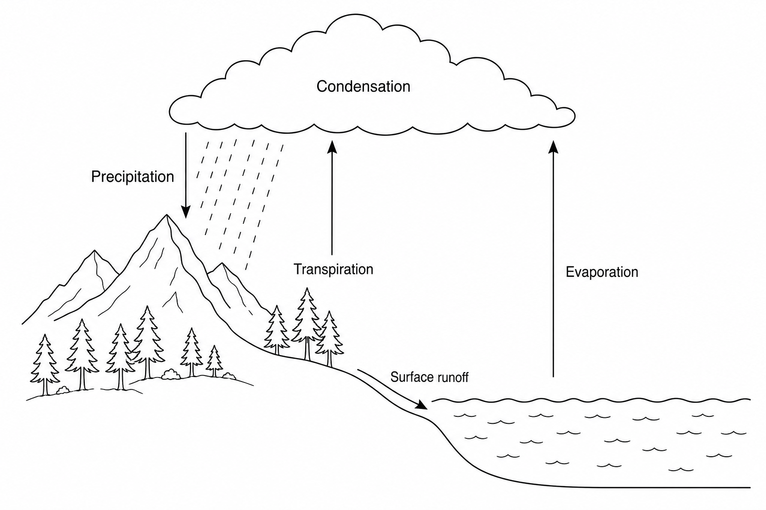 Water Cycle Diagram