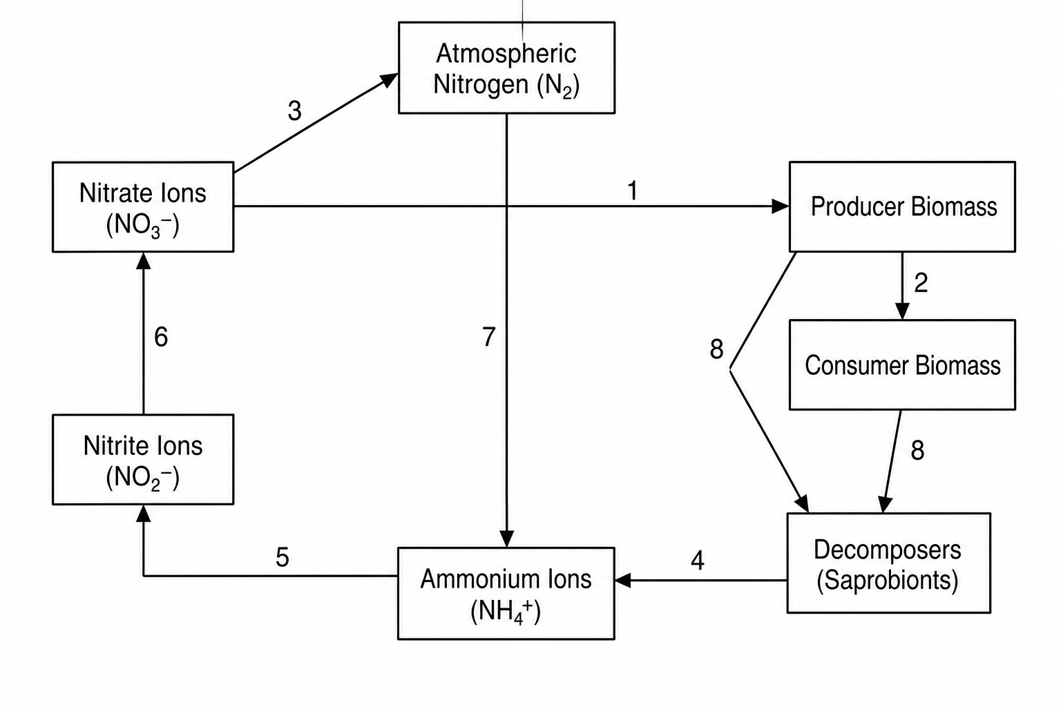 Nitrogen Cycle Diagram