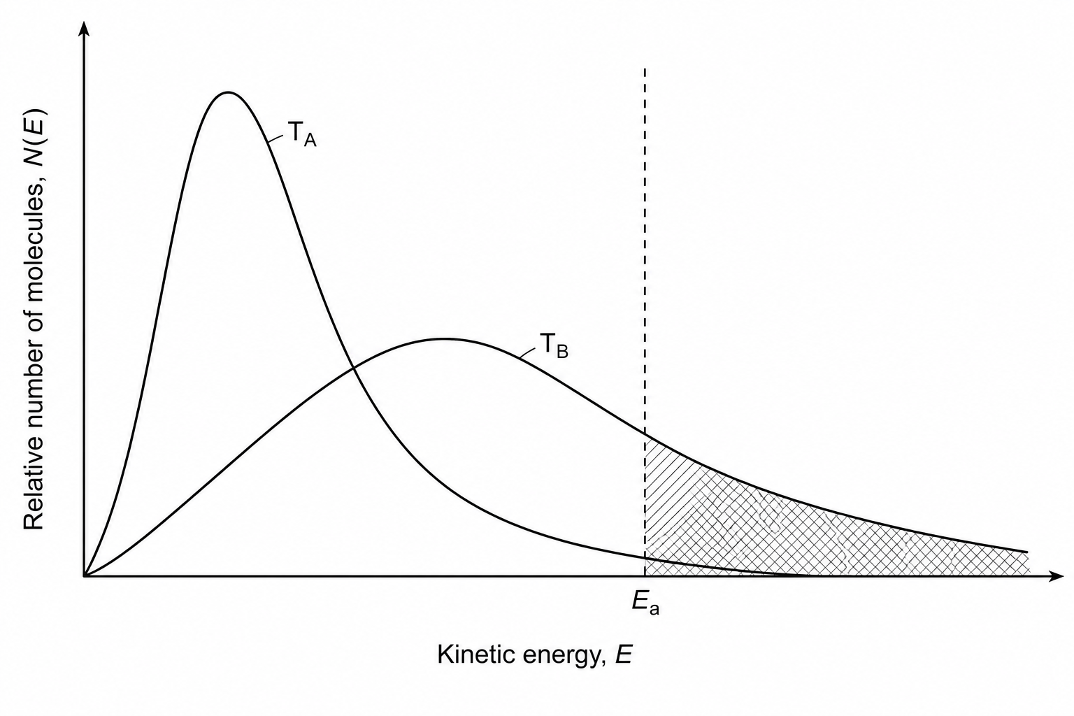 Maxwell-Boltzmann distribution curves at temperatures T_A and T_B