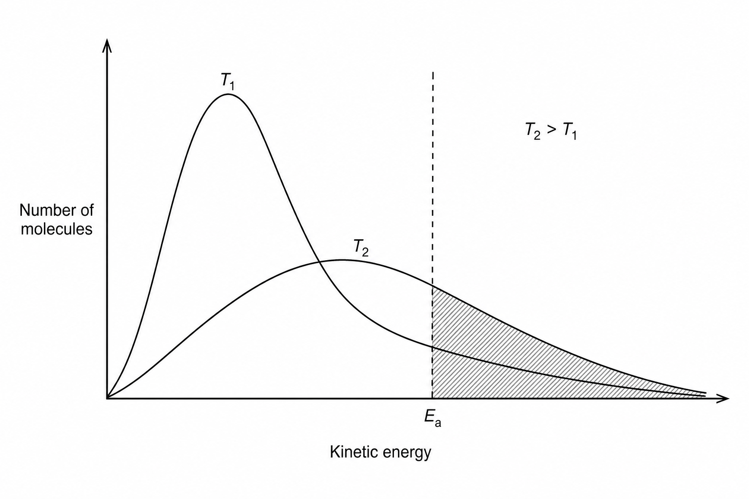 Maxwell-Boltzmann Distribution