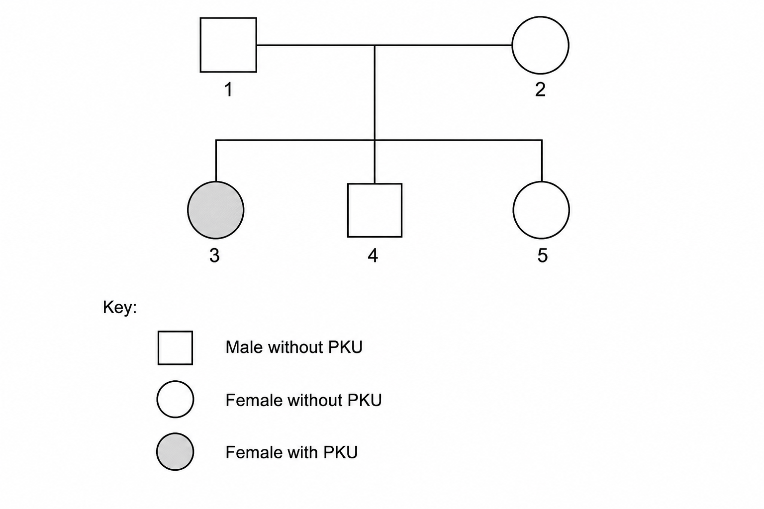 Family pedigree chart showing inheritance of PKU