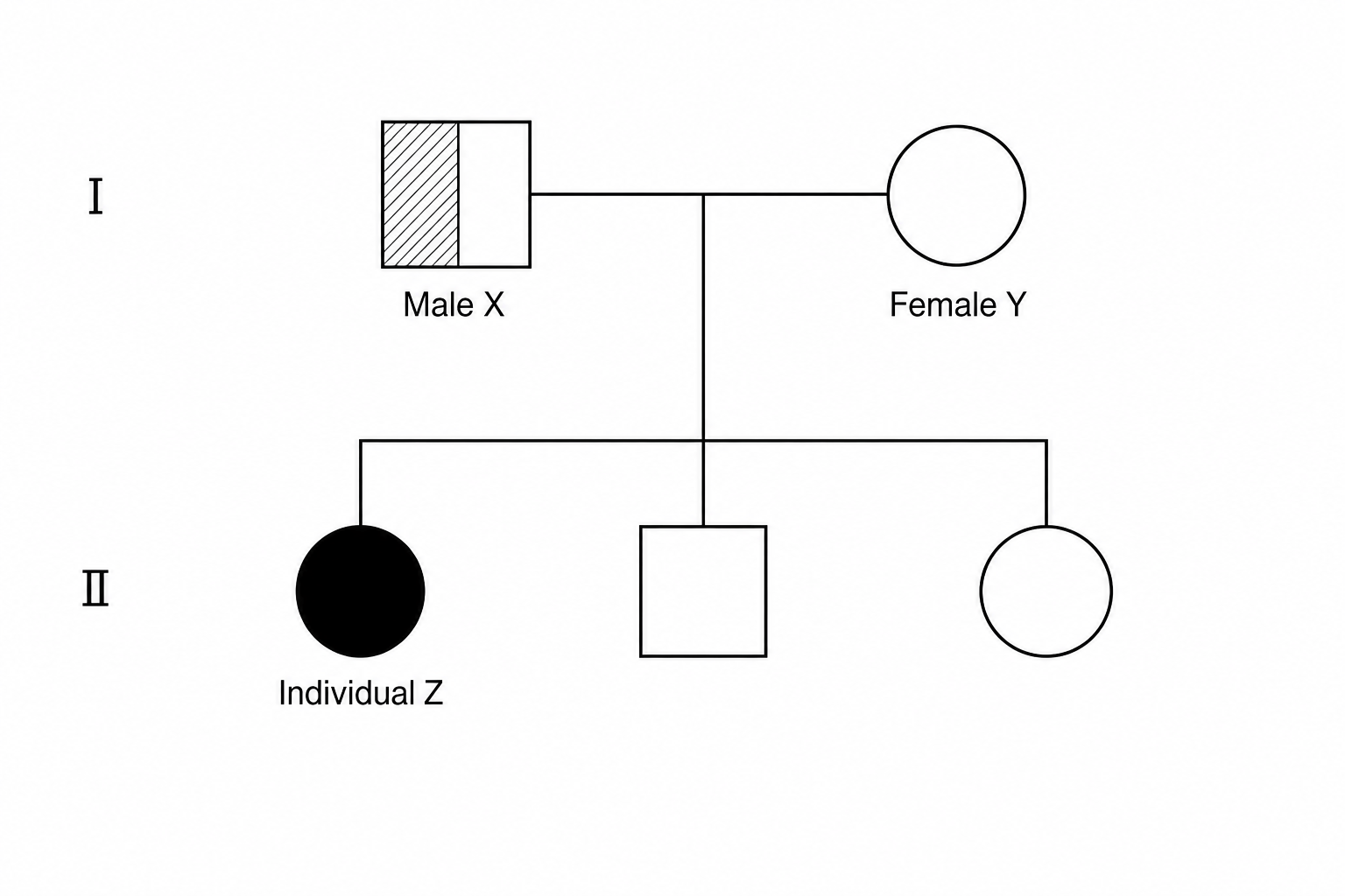 Pedigree chart showing the inheritance of alkaptonuria.