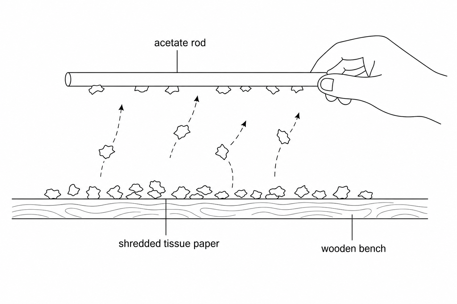 An acetate rod being held horizontally above a bench, with several small, shredded pieces of tissue paper jumping up and sticking to its underside.