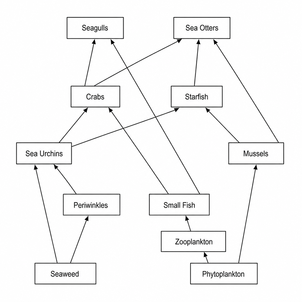Figure 1: A food web in a rocky shore marine ecosystem.