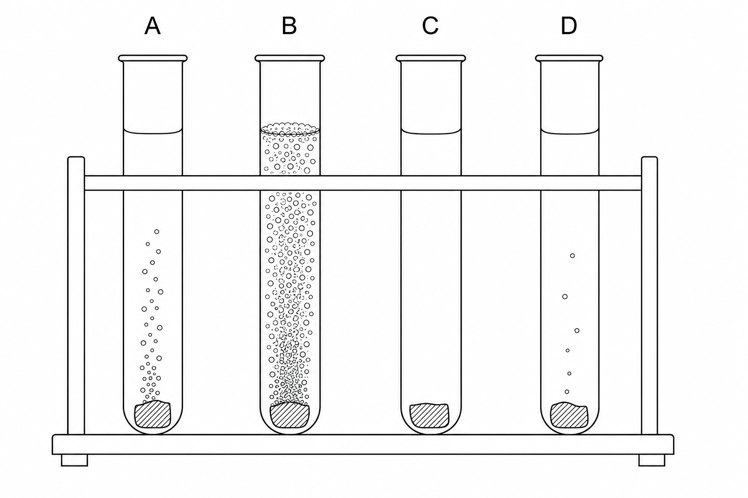 Four test tubes labeled A, B, C, and D containing dilute sulfuric acid and a piece of metal at the bottom.