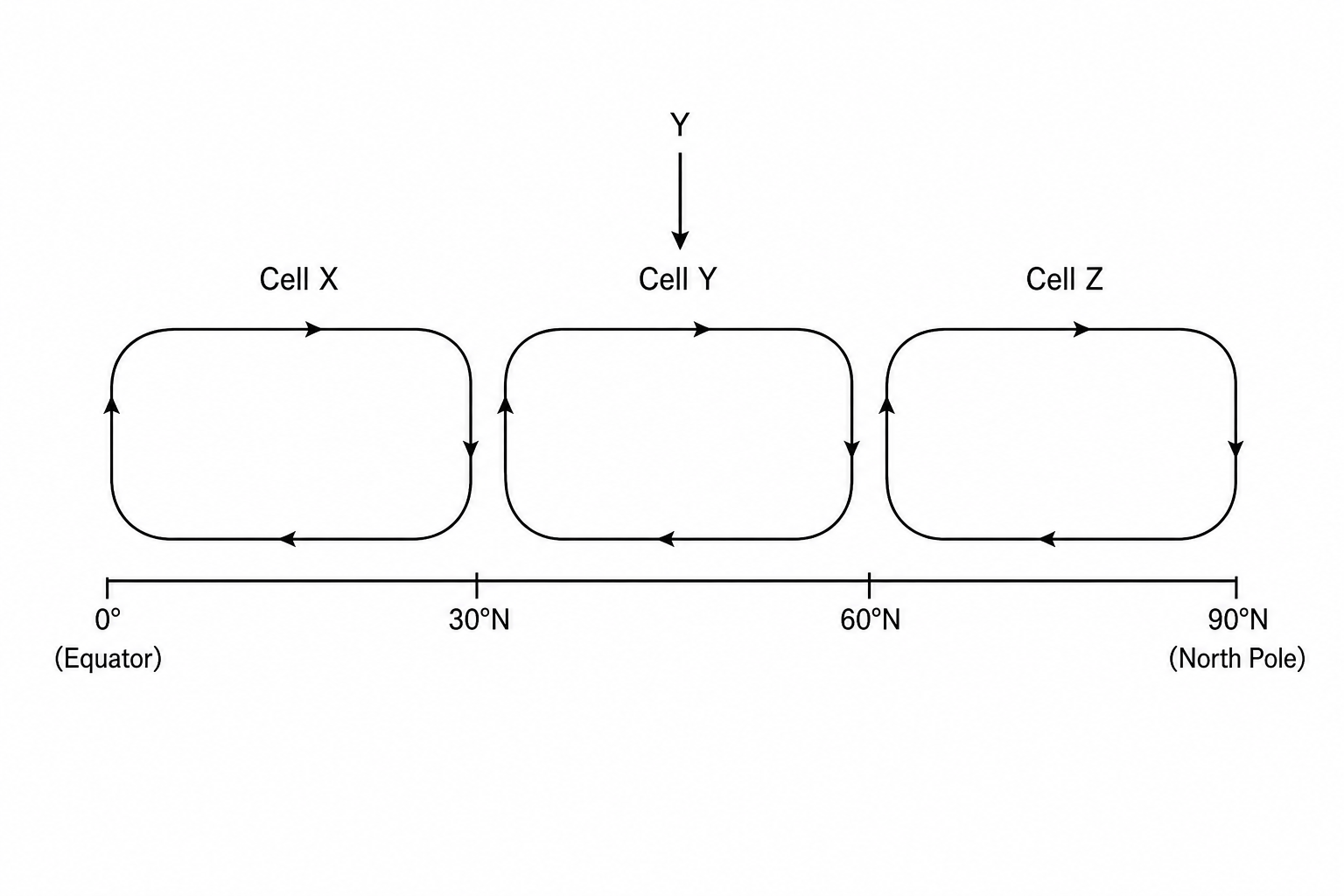 Figure 1: Simplified diagram of the global atmospheric circulation model in the Northern Hemisphere. It shows the Earth's surface from the Equator (0°) to the North Pole (90°N). Three cells of circulating air are shown with arrows indicating rising and sinking air. Cell X is located between 0° and 30°N. Cell Y is located between 30°N and 60°N. Cell Z is located between 60°N and 90°N. There is a large label pointing to Cell Y with the letter 'Y'.