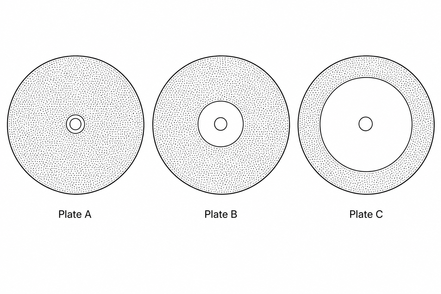 Three petri dishes representing agar plates inoculated with bacteria, labelled Plate A, Plate B, and Plate C. Plate A has a very small clear zone of inhibition around the central disc. Plate B has a medium-sized clear zone. Plate C has a very large clear zone.