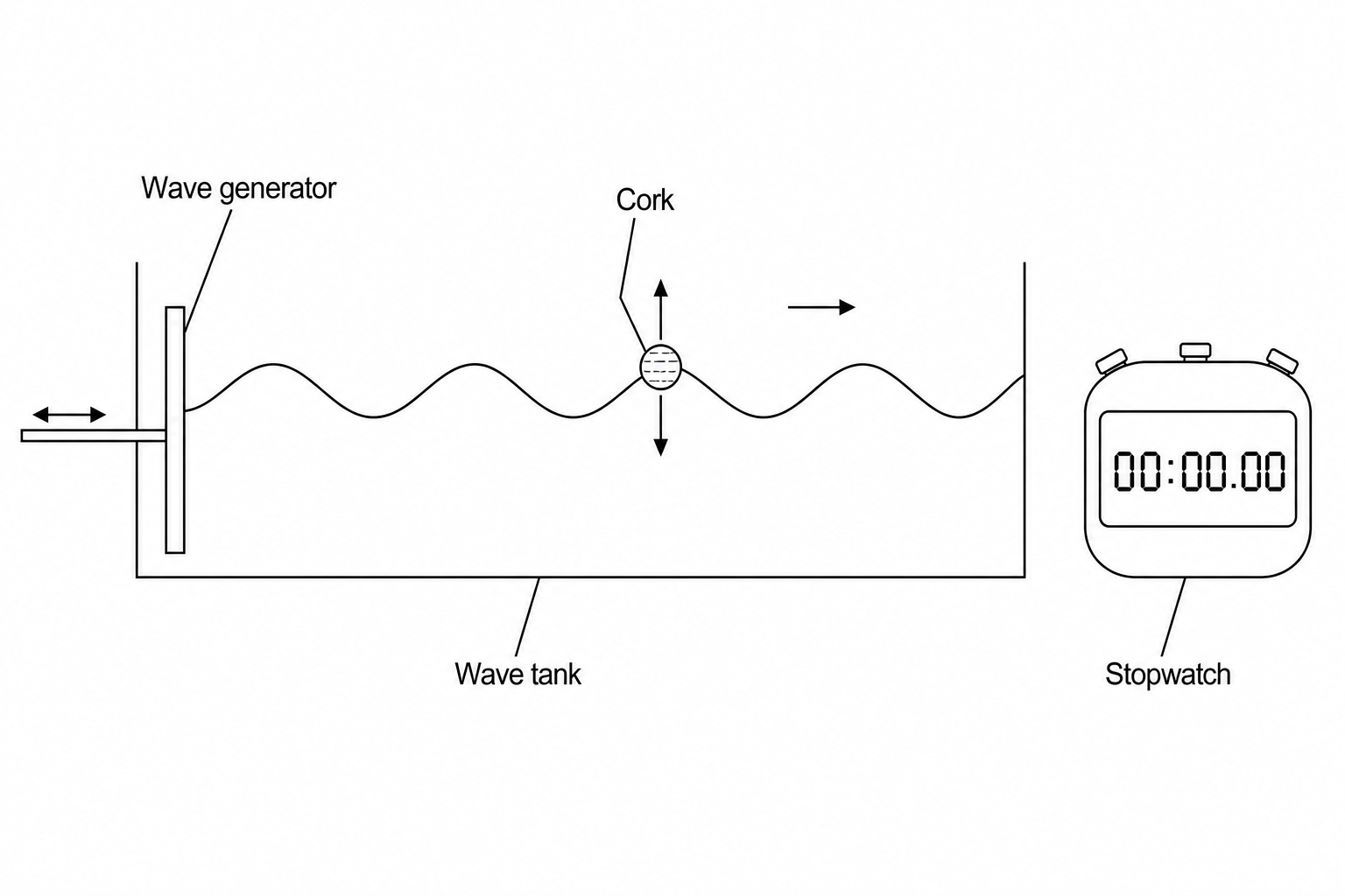 A diagram showing a wave tank with a wave generator on the left. Transverse water waves are traveling to the right. A small spherical cork is floating on the surface of the water, bobbing up and down as the waves pass. A digital stopwatch is shown next to the tank.