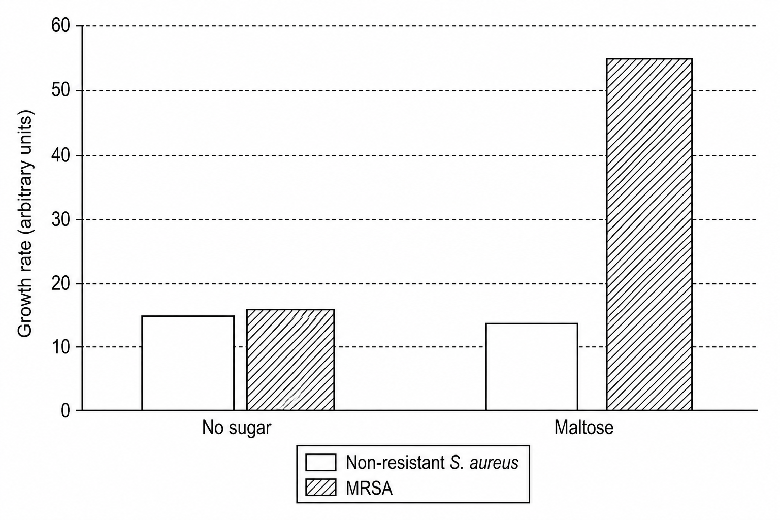 A bar chart showing the growth rate of S. aureus in arbitrary units on the y-axis, which ranges from 0 to 60 in increments of 10. The x-axis has two categories: 'No sugar' and 'Maltose'. The key shows that white bars represent non-resistant S. aureus and shaded bars represent MRSA. For 'No sugar', the white bar is at 15 and the shaded bar is at 16. For 'Maltose', the white bar is at 14 and the shaded bar is at 55.