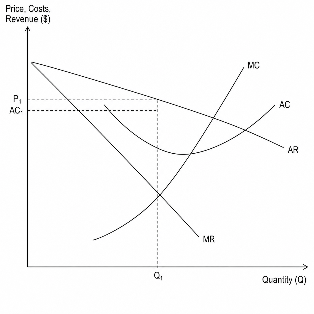 Monopolistic competition long run equilibrium