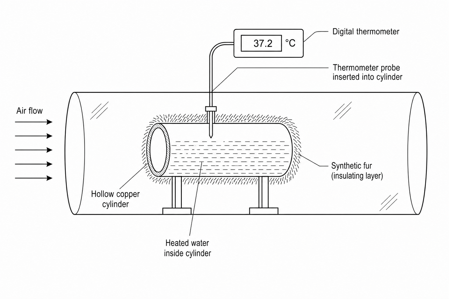 Wind Tunnel Setup for Modeling Heat Loss