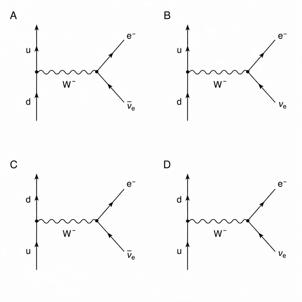 Four Feynman diagrams labeled A, B, C, and D. Diagram A shows a down quark (d) entering from the bottom left, emitting a W-minus boson (W^-) that moves to the right, and changing into an up quark (u) moving to the top left. The W^- boson decays into an electron (e^-) and an electron antineutrino (\bar{\nu}_e) both moving towards the top right. Diagram B shows a d quark changing to a u quark emitting a W^-, which then decays into an e^- and an electron neutrino (\nu _e). Diagram C shows an u quark changing to a d quark emitting a W^-, which decays into an electron (e^-) and an electron antineutrino (\bar{\nu}_e). Diagram D shows an u quark changing to a d quark emitting a W^-, which decays into an e^- and an electron neutrino (\nu _e).
