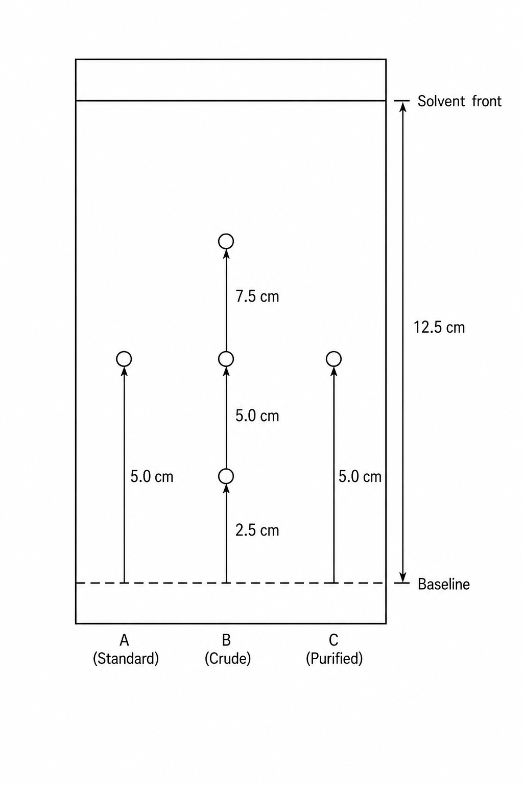 TLC Chromatogram