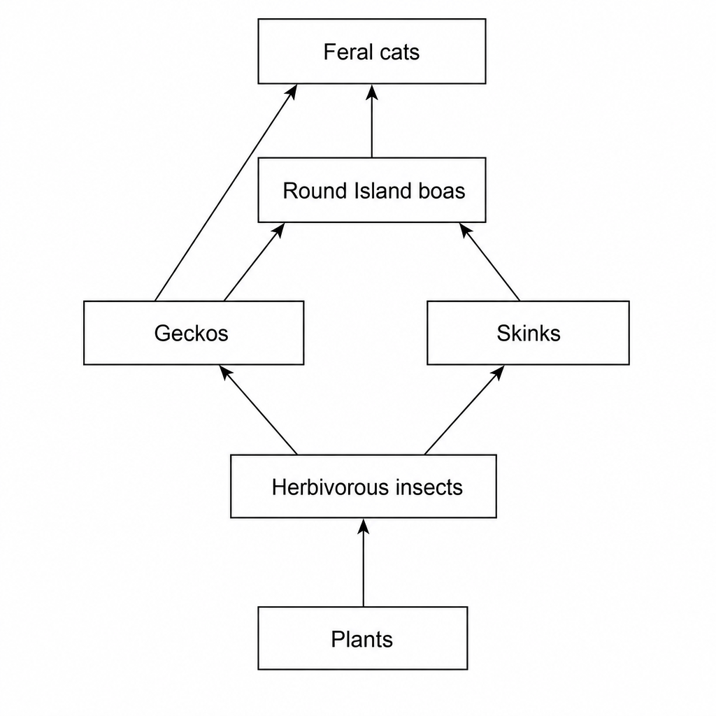 A food web diagram.