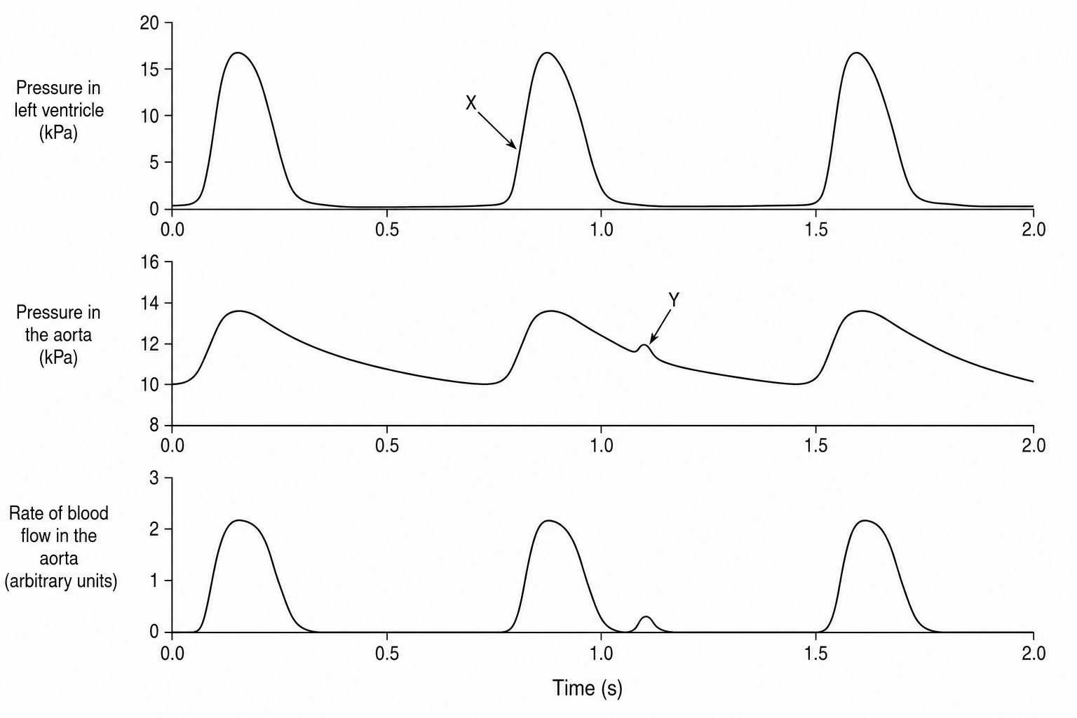 Cardiac cycle of a sheep showing pressure and blood flow changes