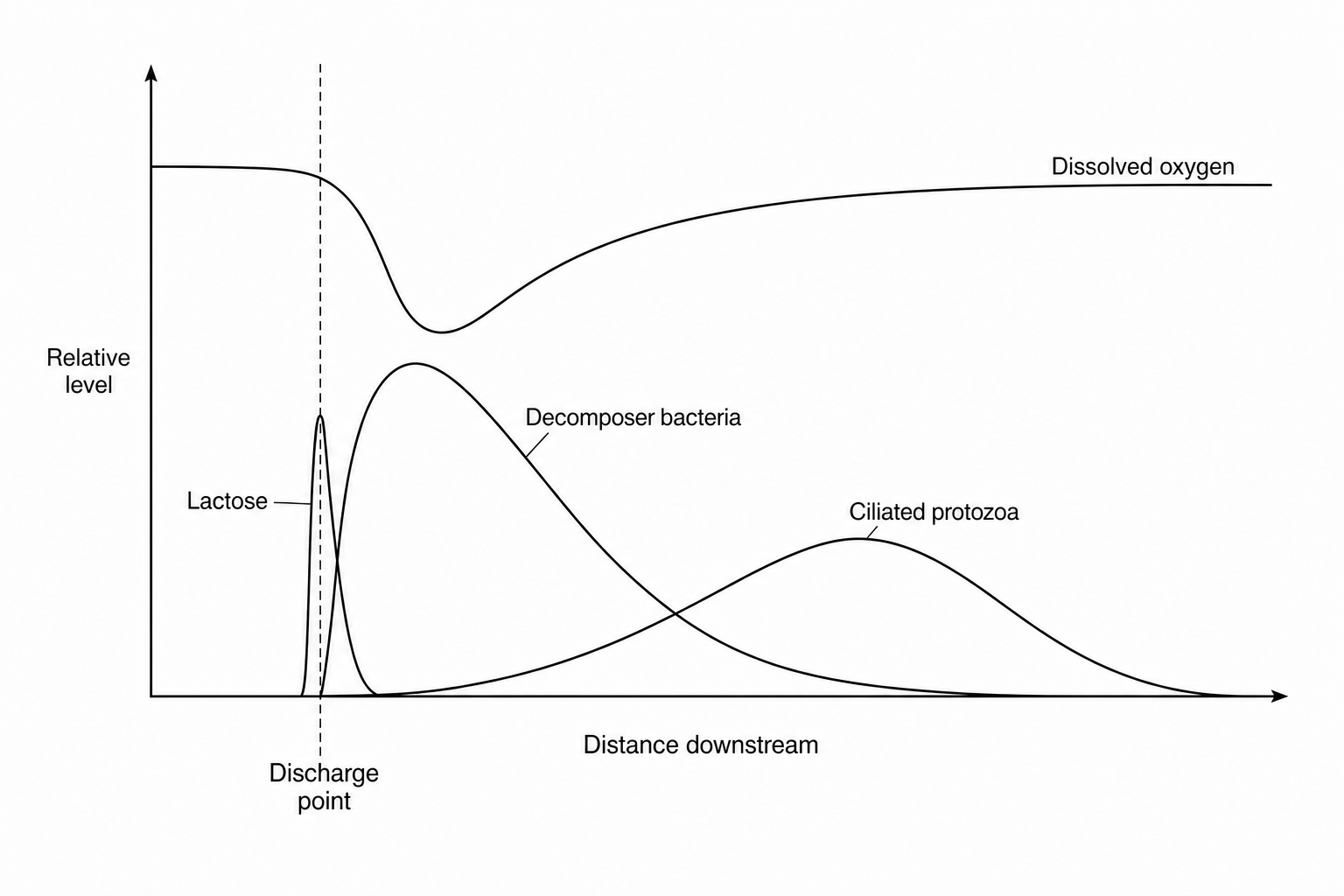 Ecological changes in a stream downstream of an organic waste discharge point