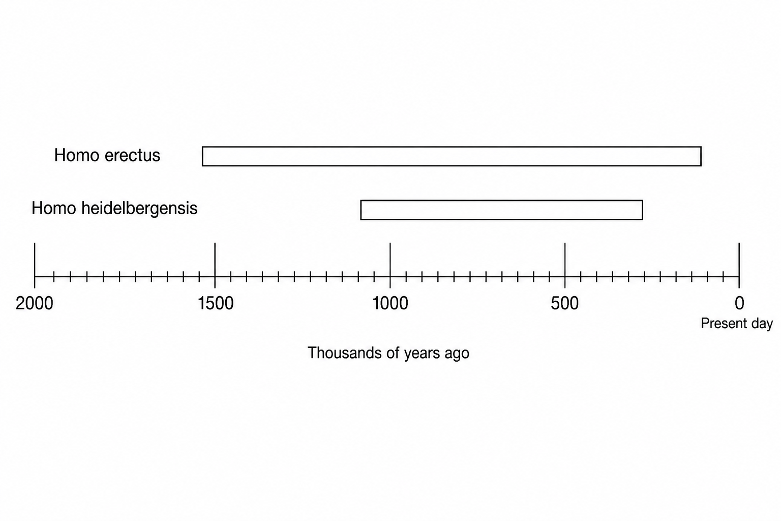 Hominid existence timeline